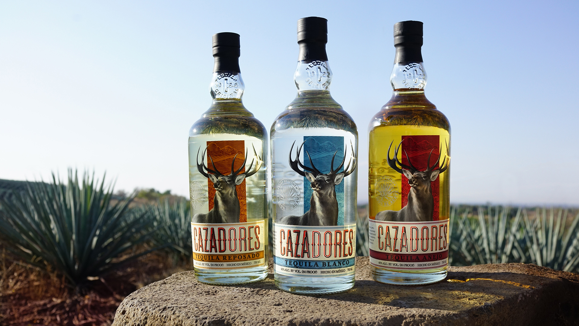 TEQUILA CAZADORES background