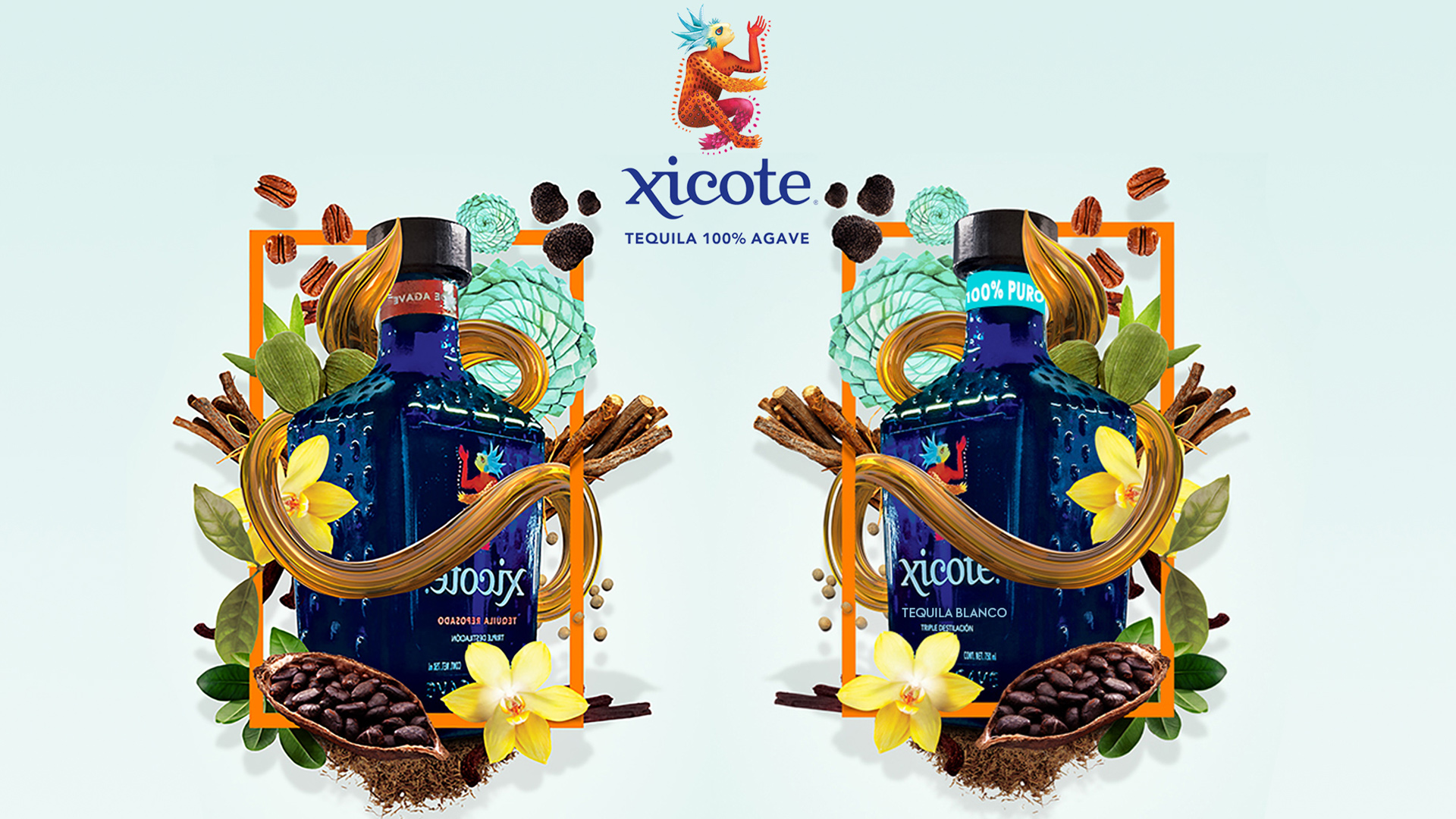 TEQUILA XICOTE background